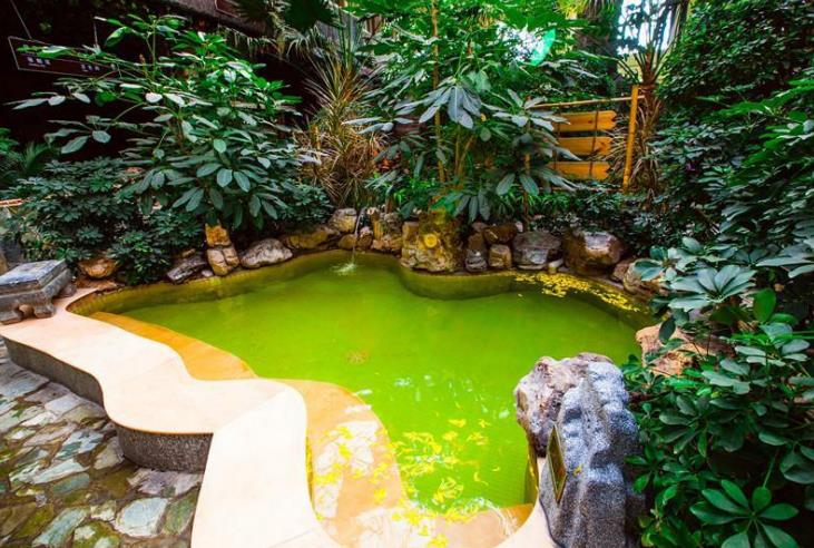 ��Ȫ������