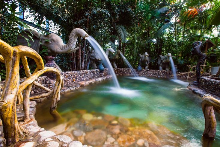 ��̬ˮ�ƽ�����