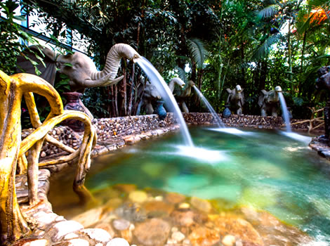 �����ɽ��ѵ���ģ������ɽ��Ȫ�ȼٴ壩��Ȫ����